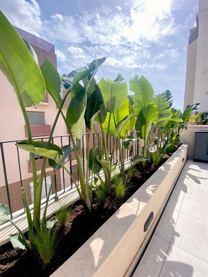 Hotel-Apartment With Big Terrace Палма де Майорка Екстериор снимка